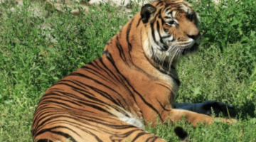 Capture d’écran 2024-03-14 à 21.09.59